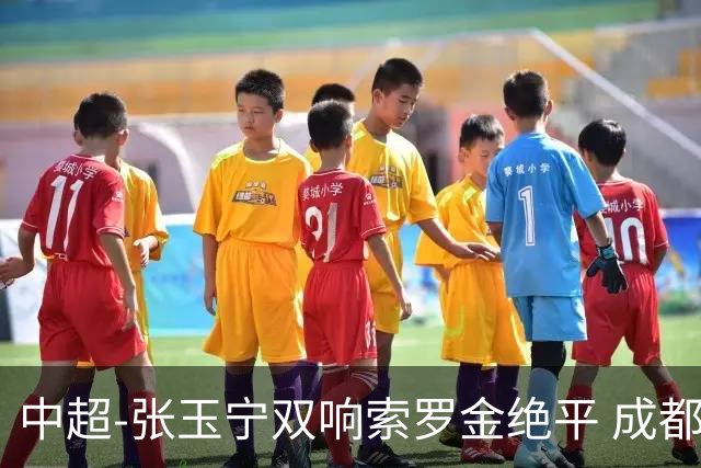 中超-张玉宁双响索罗金绝平 成都连扳两球2-2国安4连平